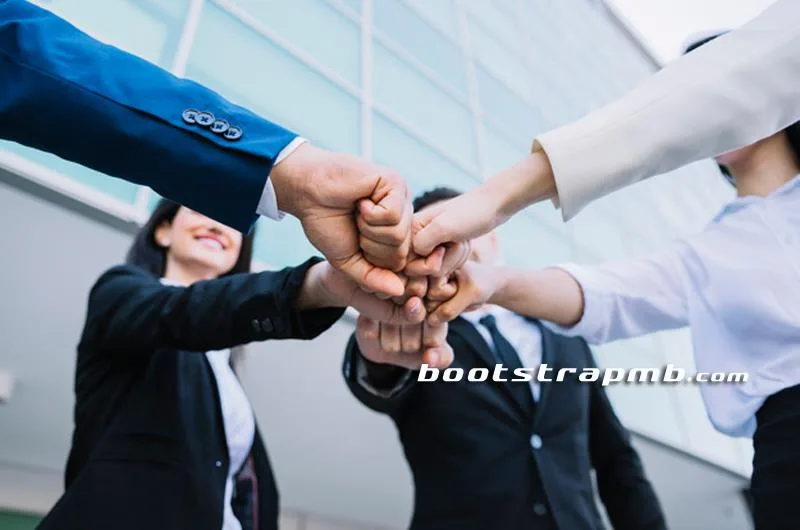 体育赛事深度解读 - 华体会